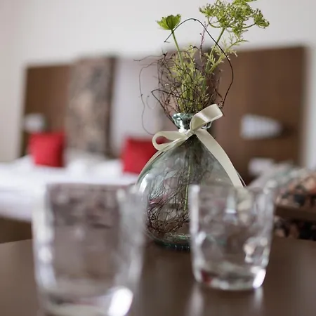 Garni Toscanina - Adults Only Hotel Bad Radkersburg