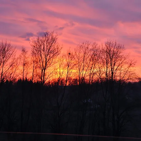 Hotel Garni Toscanina - Adults Only