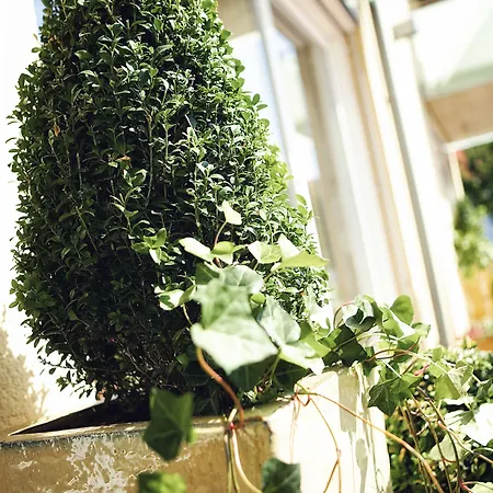 Hotel Garni Toscanina - Adults Only Bad Radkersburg