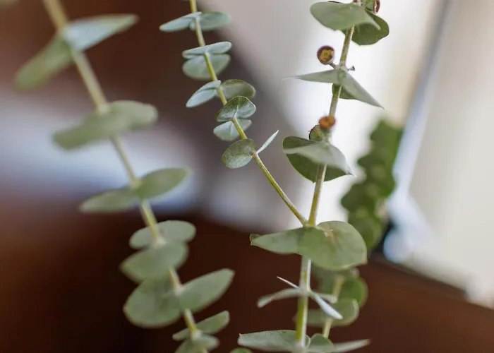 Garni Toscanina - Adults Only Hotel