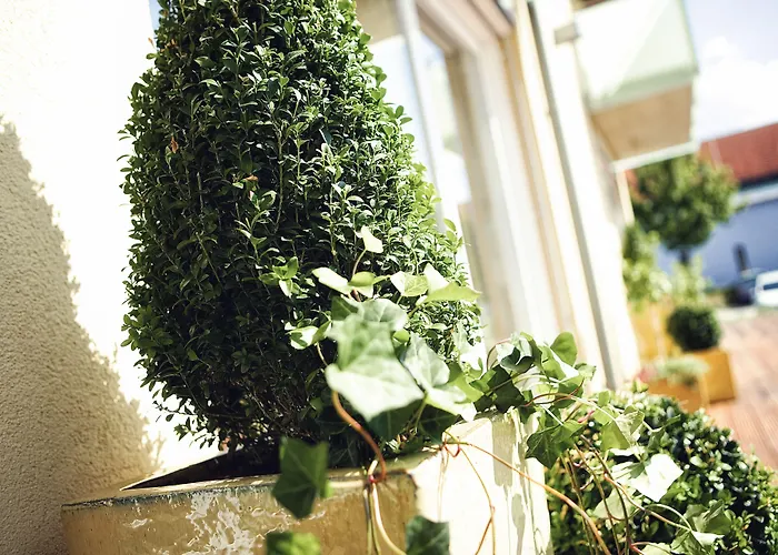 Hotel Garni Toscanina - Adults Only Bad Radkersburg